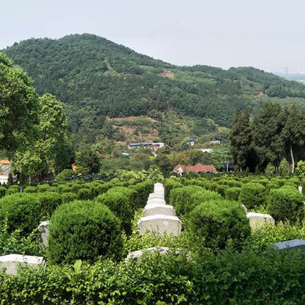 园区风景